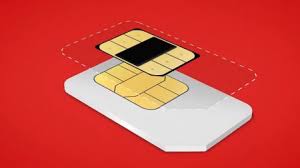 What is a Flexiroam X Microchip SIM?